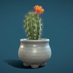 Cactus 02