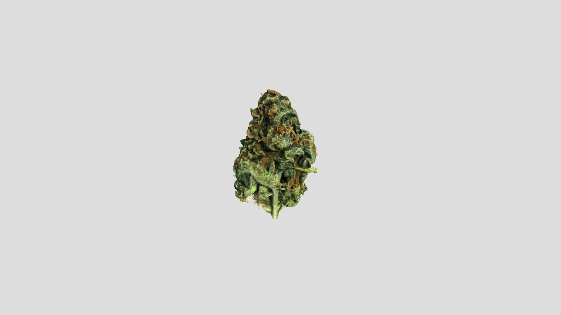 Cannabis Bud 2