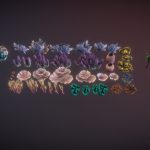 Corals 2