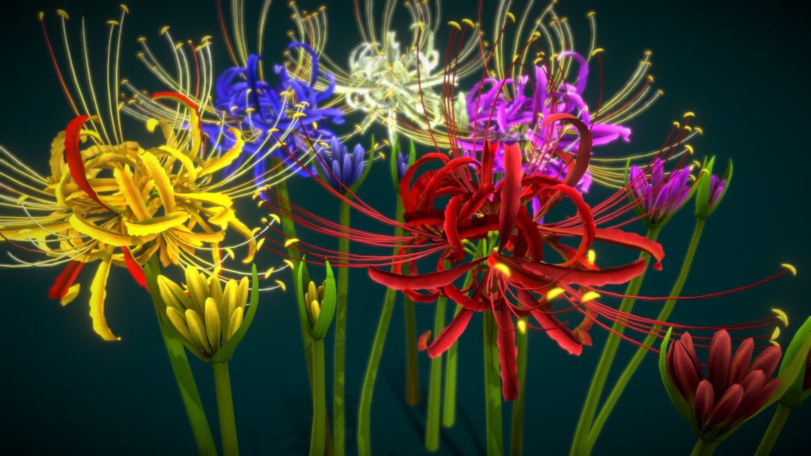 flower lycoris radiata 3d model
