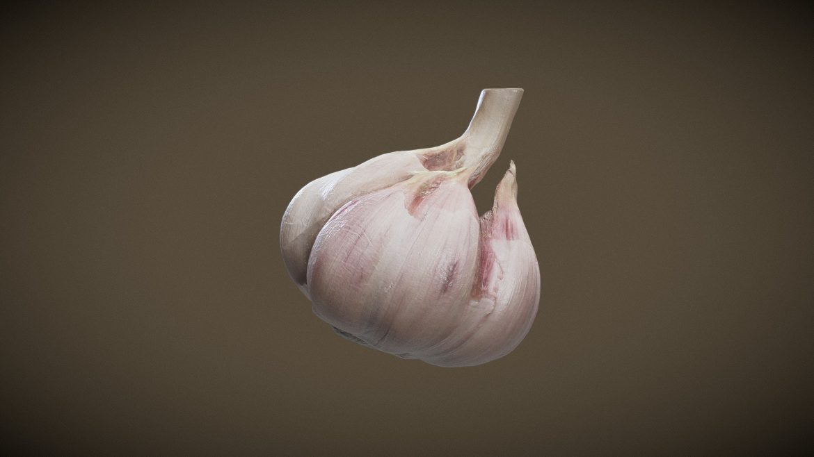 garlic 3d model