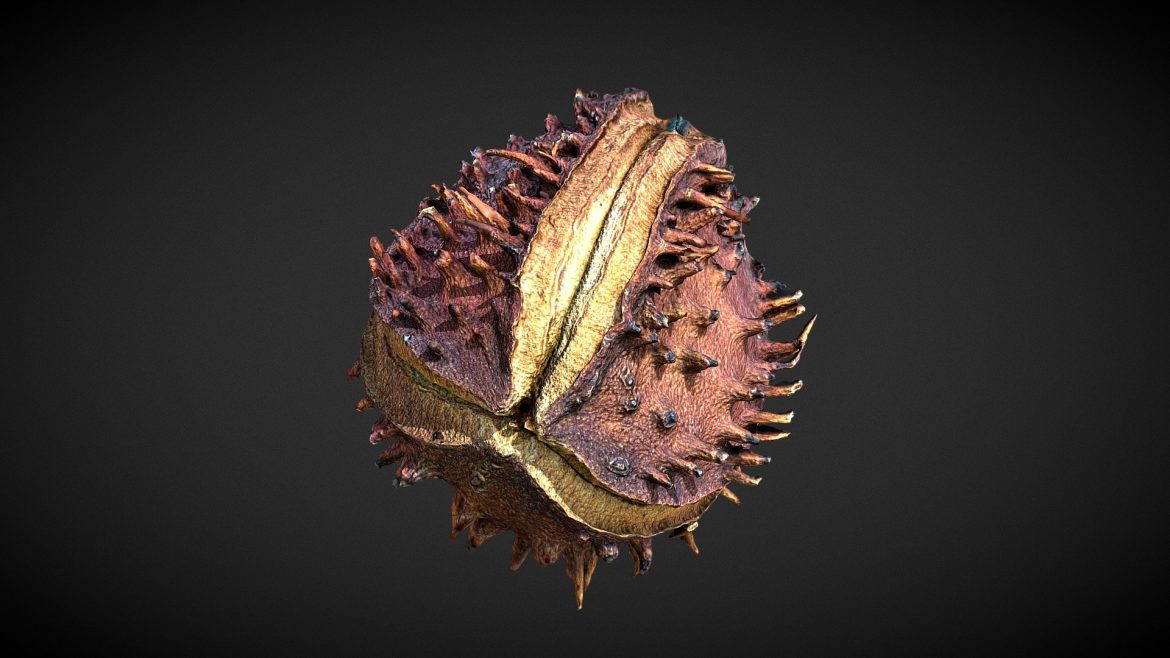 ground scatter seed 07 3d model