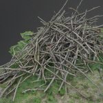 Heap pile of cut tree wood branches stack