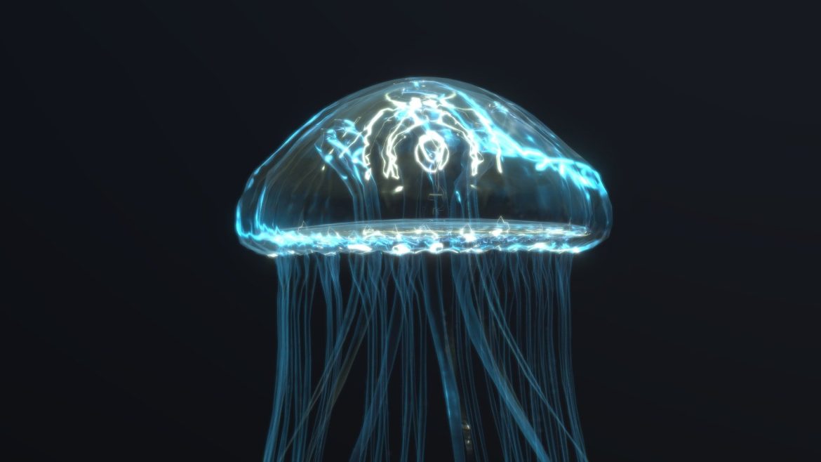 jellyfish 3d model