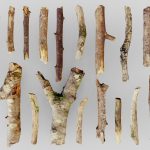 Lowpoly Sticks