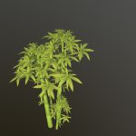 Midpoly handpainted bamboo grove cartoon style