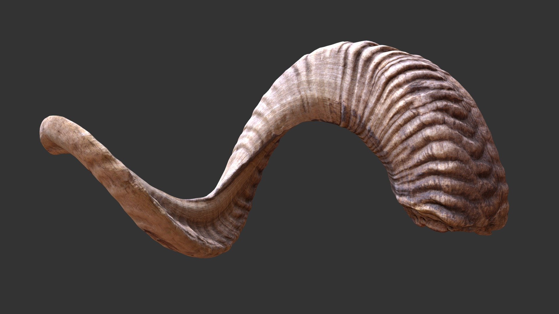 Ram Horn