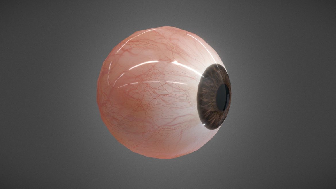 realistic human eye 3d model