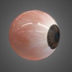 Realistic Human Eye