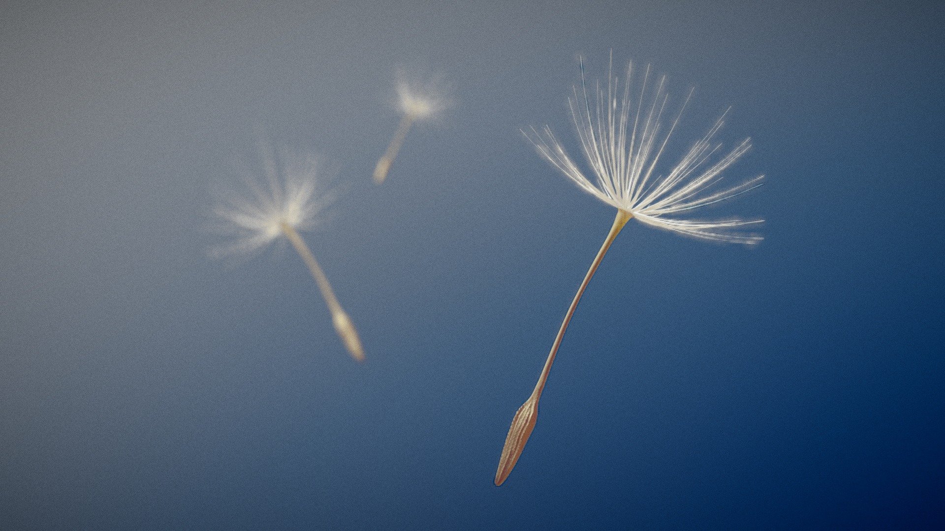 SculptJanuary19 Day06: Minimalistic – Tiny