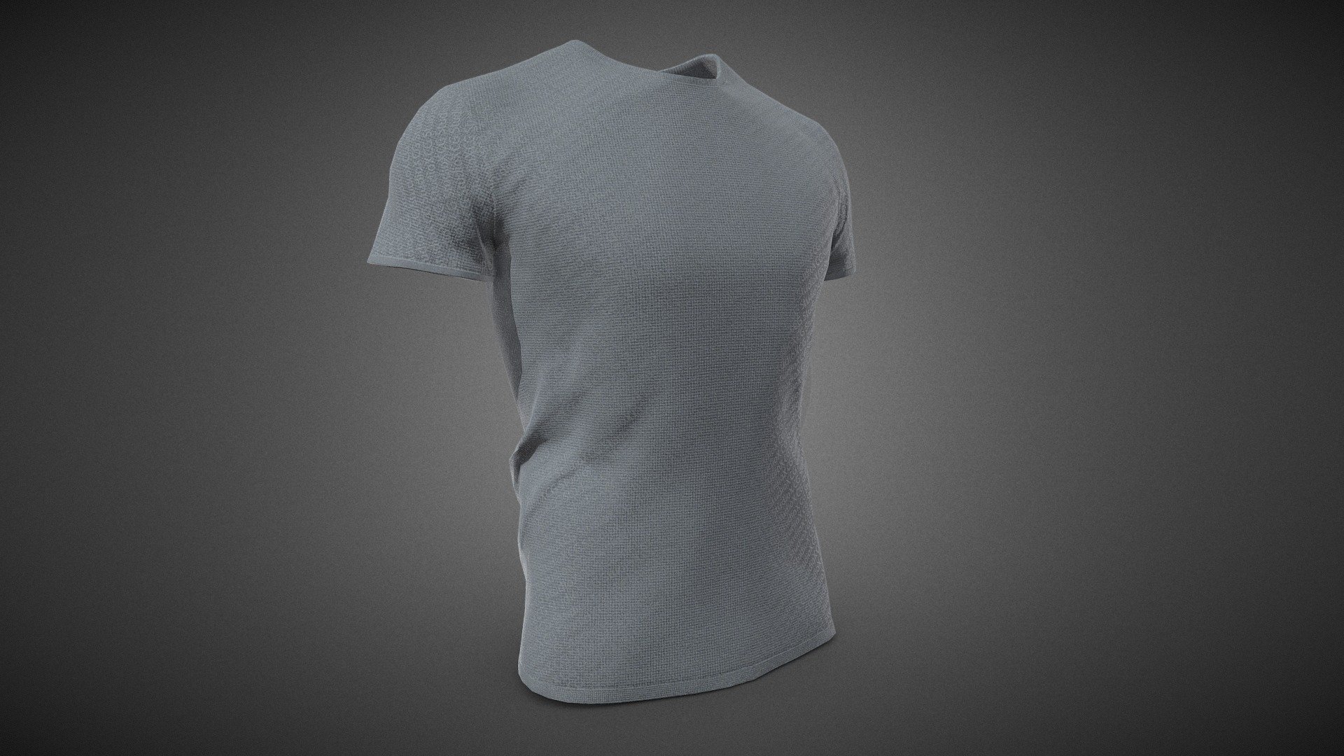 Slim Fit Gray T-Shirt
