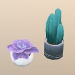 Succulents