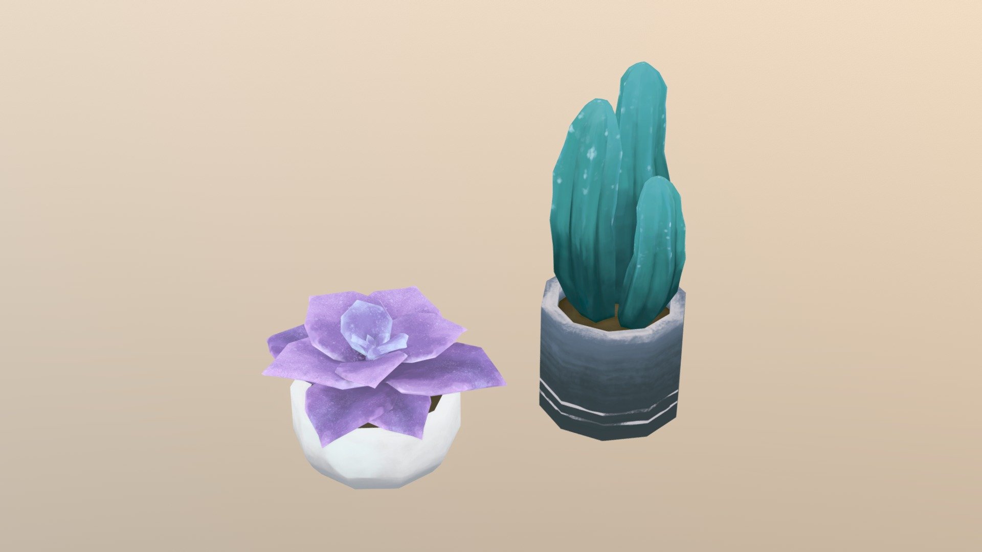 Succulents