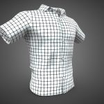 summer shirt 1 3d model
