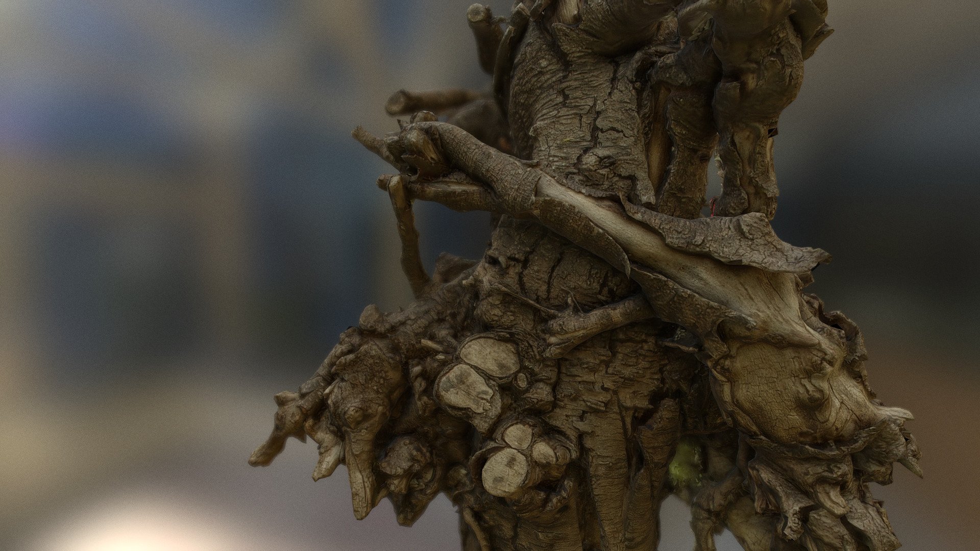 The log, twisted log