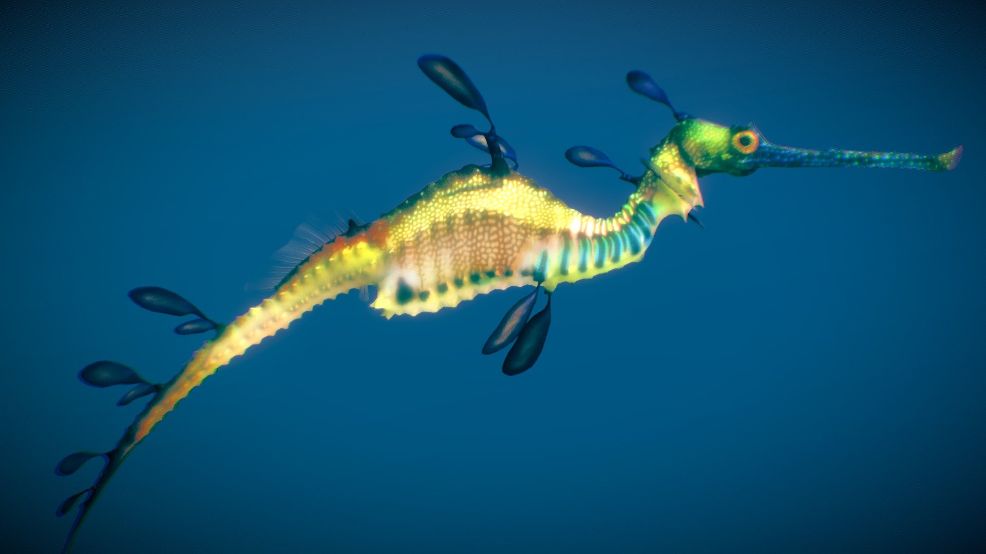 Weedy Seadragon