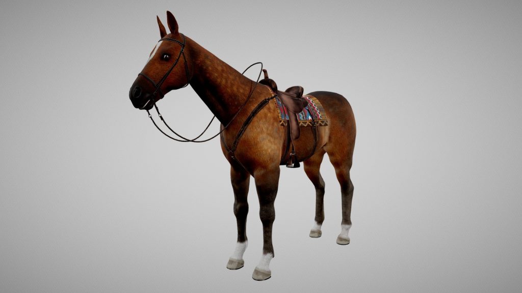 Cowboy Horse - deep3dsea