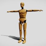 crash test dummy standing 3d model