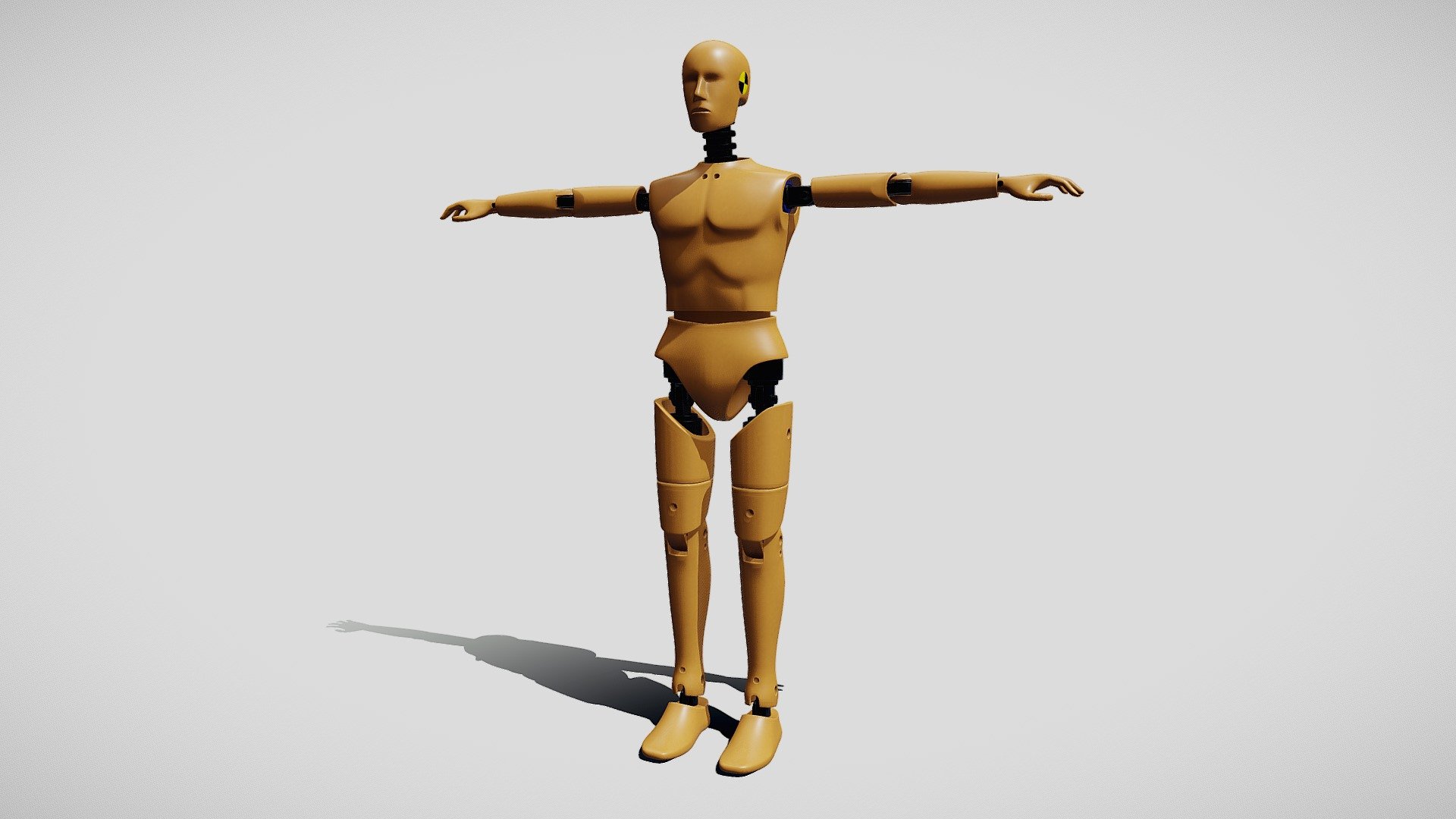 Crash Test Dummy Standing