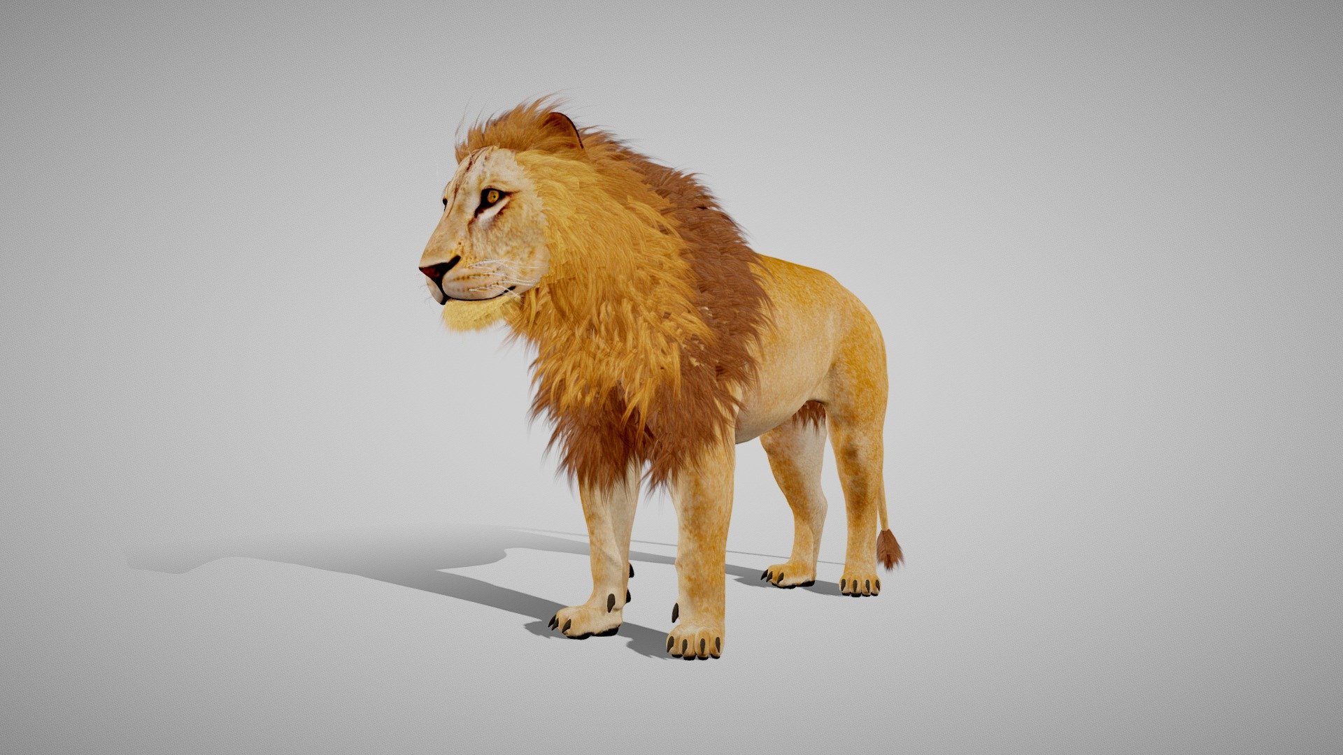 Lion The King Textured Hair