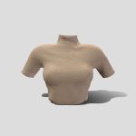 Female Mock Neck Short Sleeves Tucked In Sweater