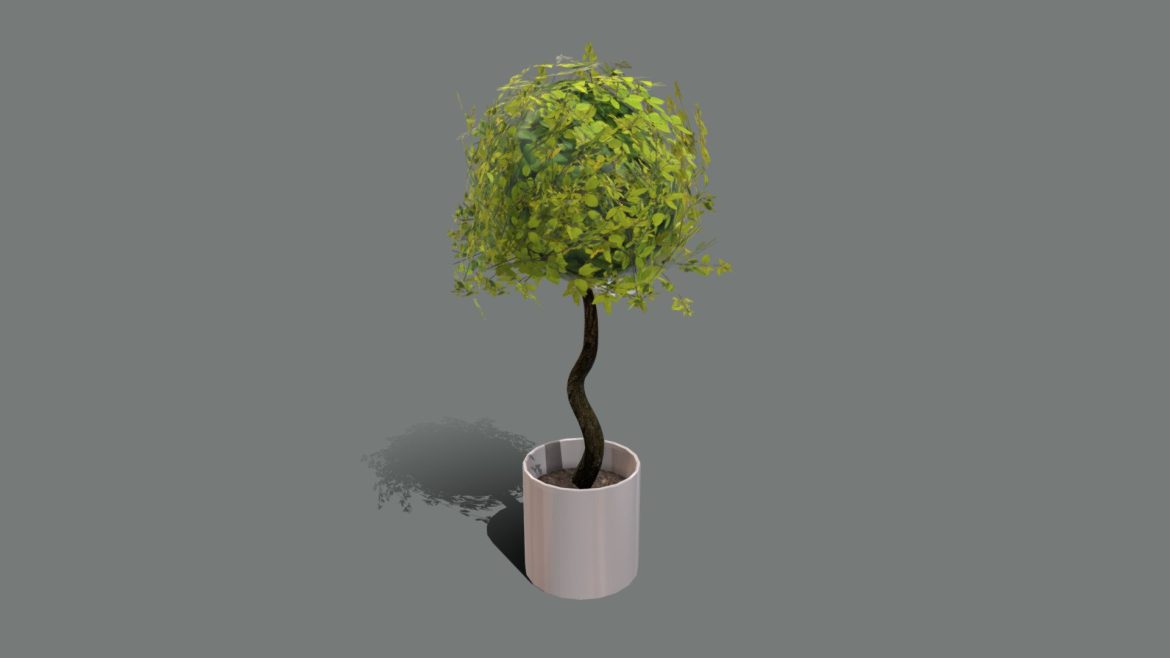 Interior Apple Tree 3d Model - Realistic interior apple tree 3D model for architectural visualization projects, PBR textured digital plant asset