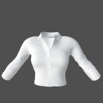 White Tucked In Female Business Shirt