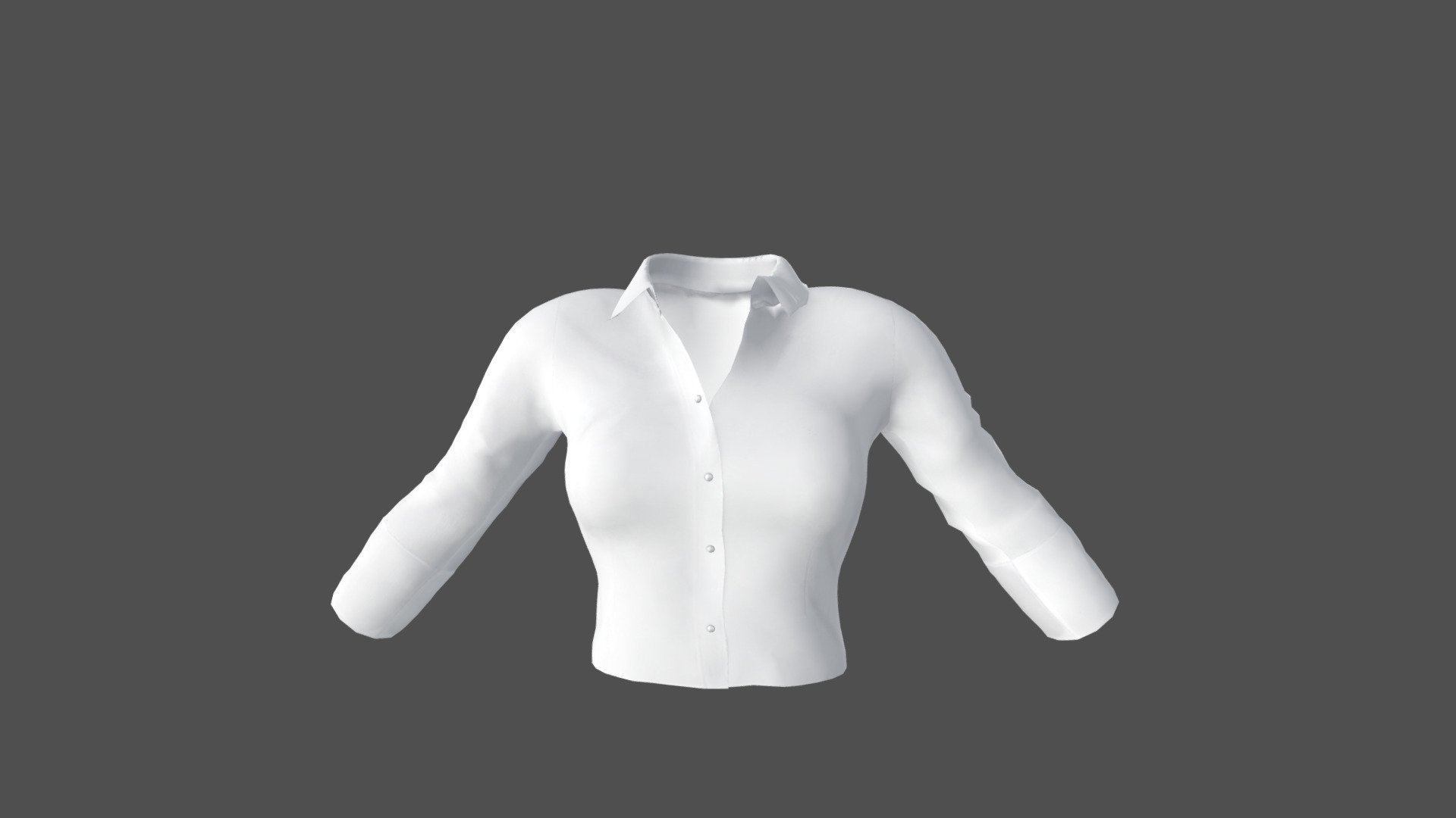 White Tucked In Female Business Shirt