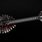 devils guitar 3d model