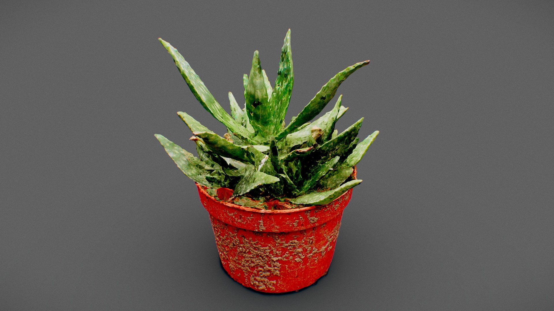 Plant Scan Test