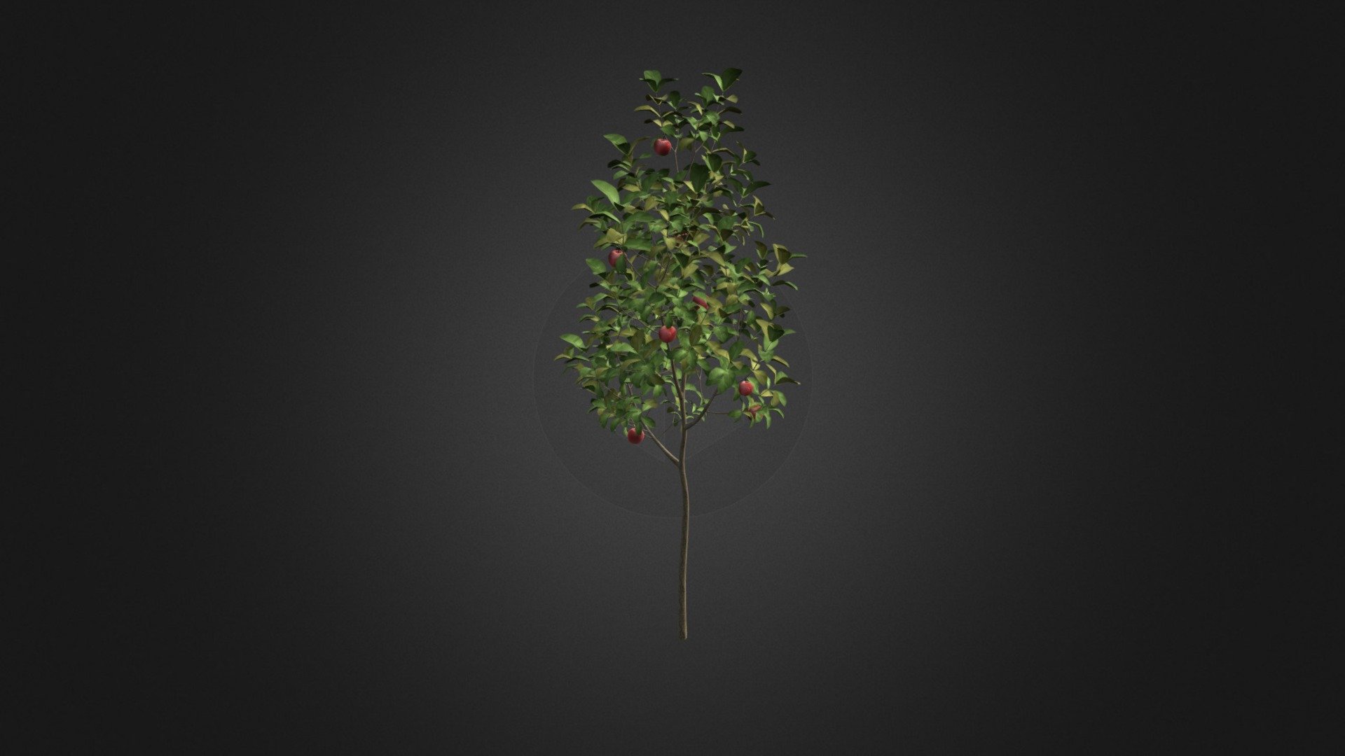 Apple Tree with Fruits 3D Model 2.7m