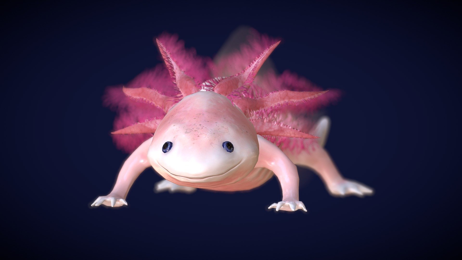 Axolotl