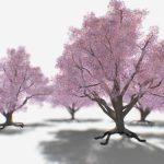 Blossom tree Sakura ( Cherry ) 4 versions UPD