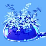 Blue Whale