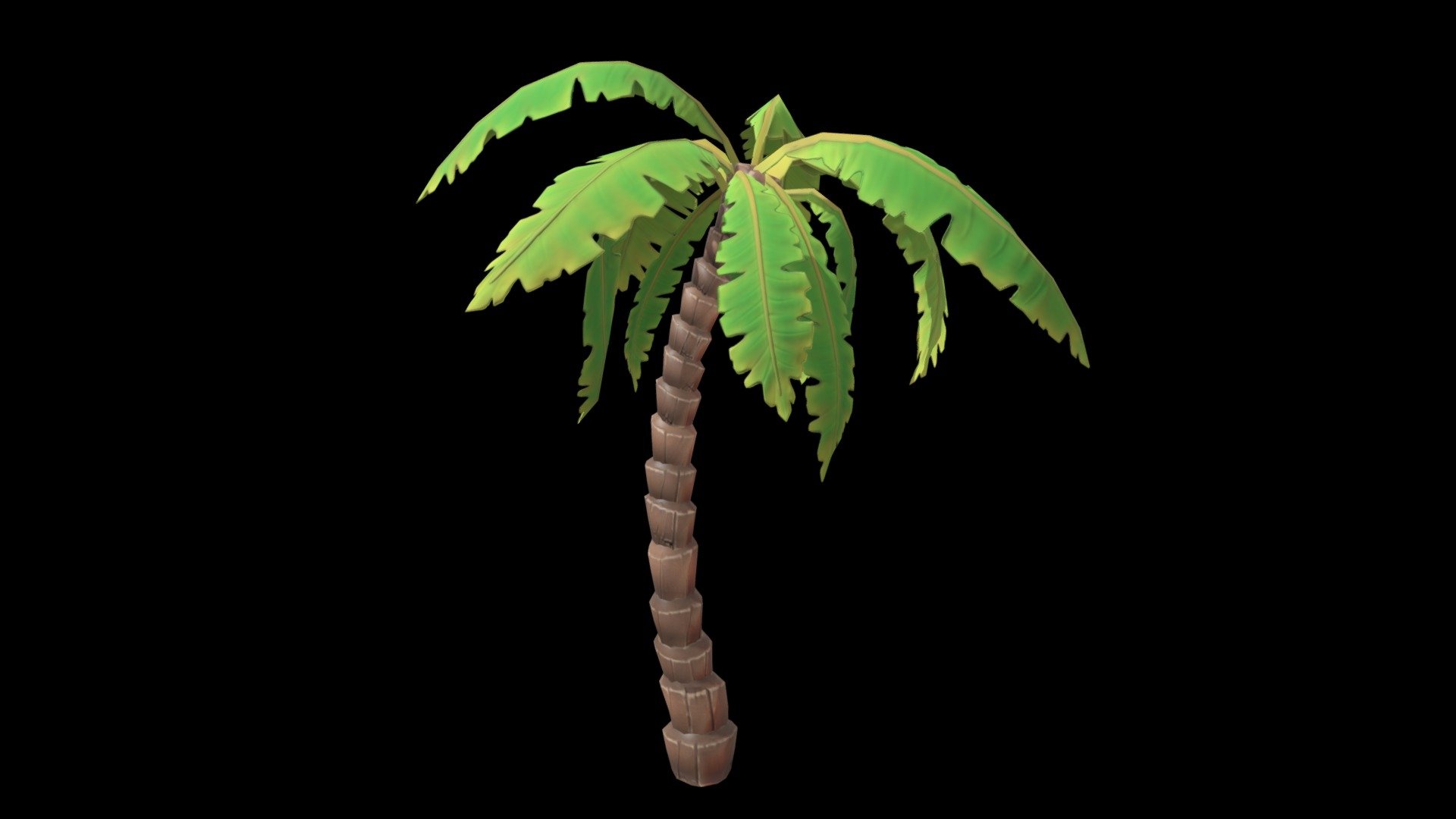 Cartoon Palm Tree