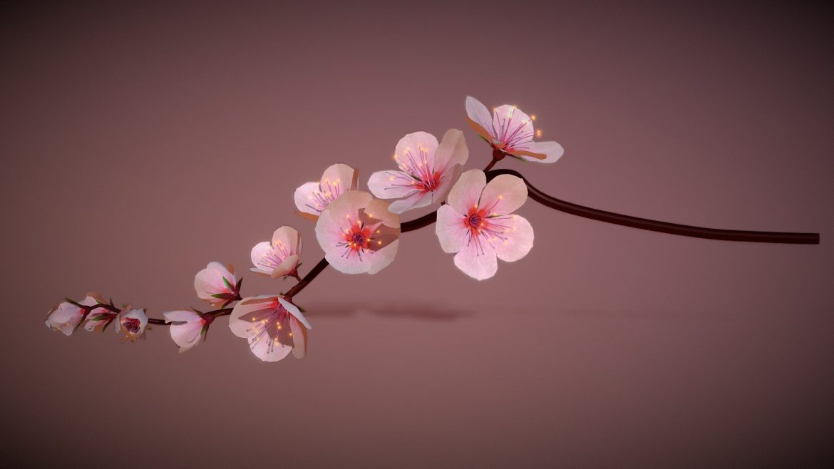 cherry blossoms branch rigged animated 3d model