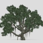 Chinese Banyan Tree 3d Model - Highly detailed 3D render of a Chinese Banyan Tree featuring complex aerial root structures and dense green canopy.