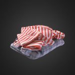 clothes