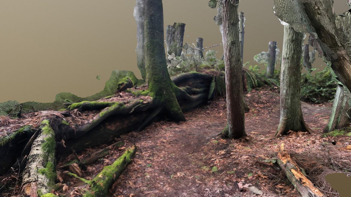 fallen tree 3d model