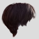 Female Hair – 005