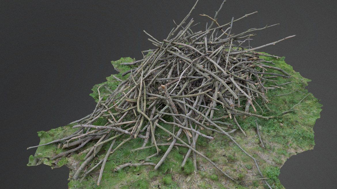 heap pile of cut tree wood branches stack 3d model