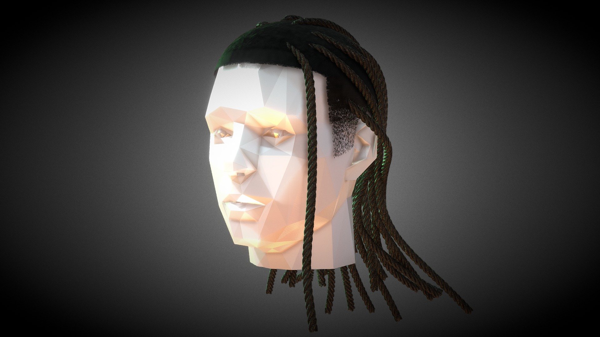 Long Dreads 3