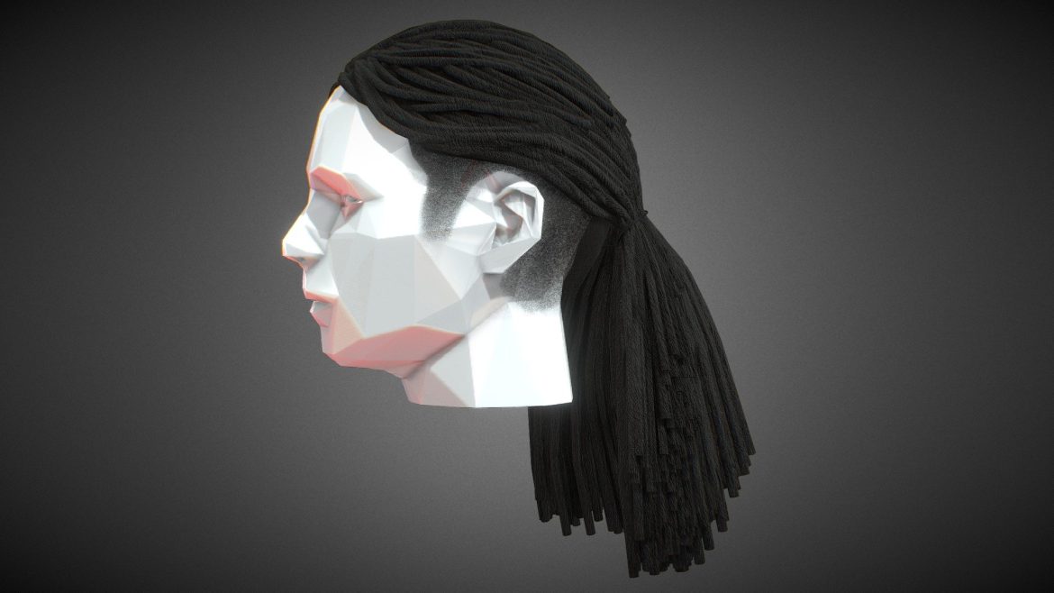 long dreads 5 ponytail 3d model