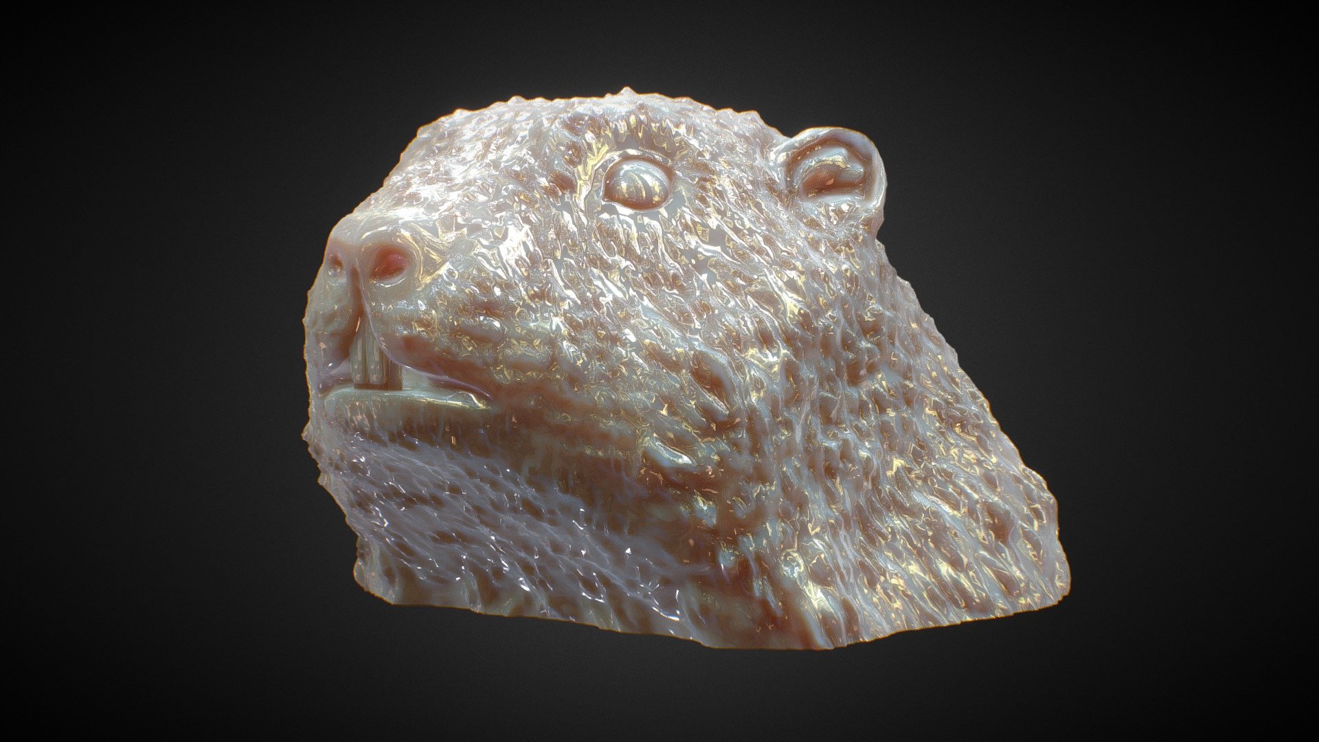 Marmot Head – 3d Printable