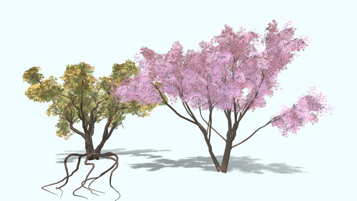 my blossom sakura cherry and beech tree 3d model