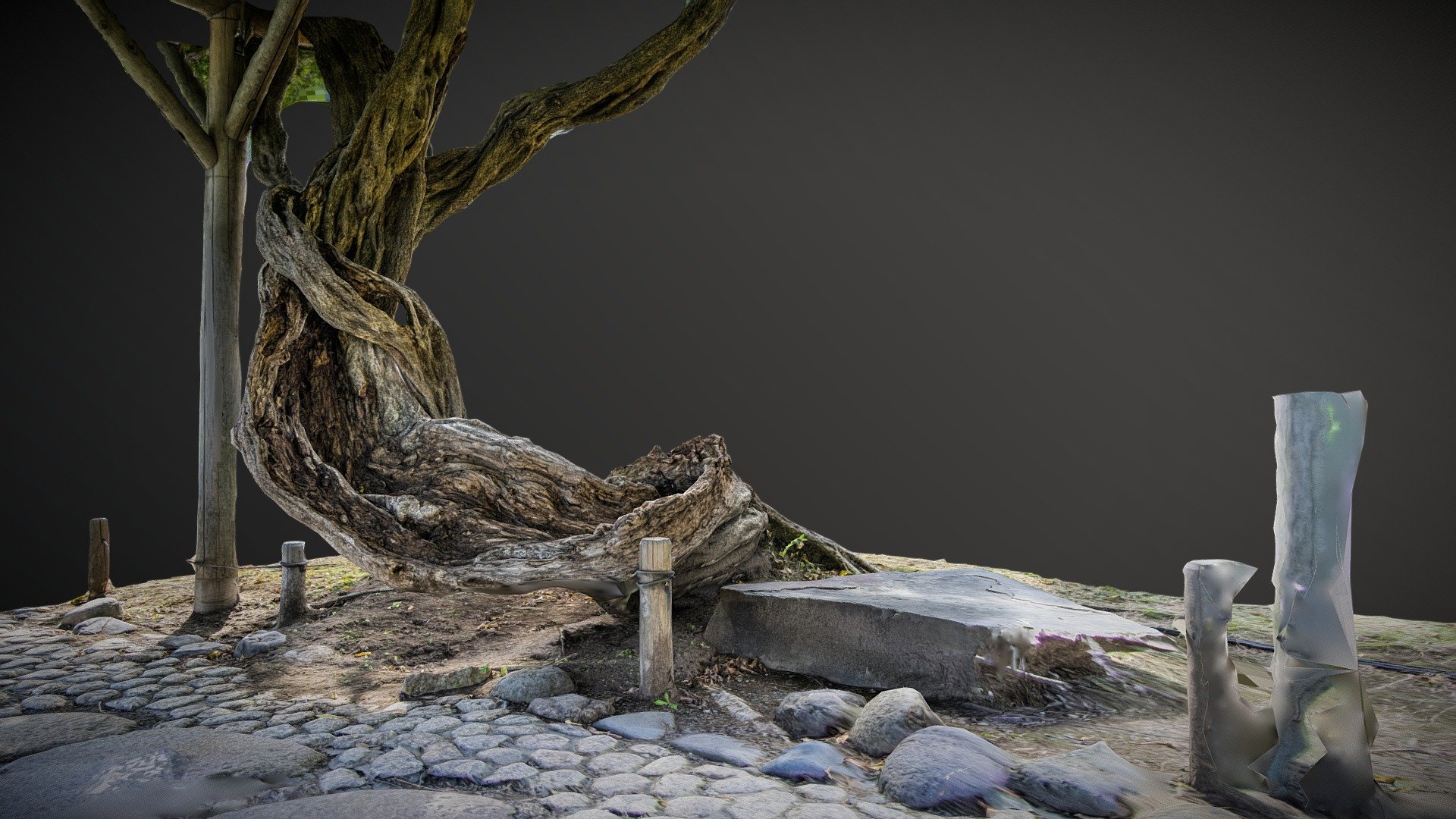 Old japanese tree near road