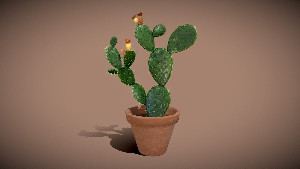 opuntia cactus 3d model