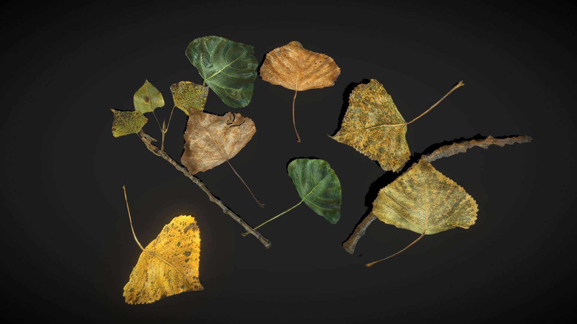 Poplar Leaves – low poly