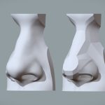 Shapes & Planes of the Nose