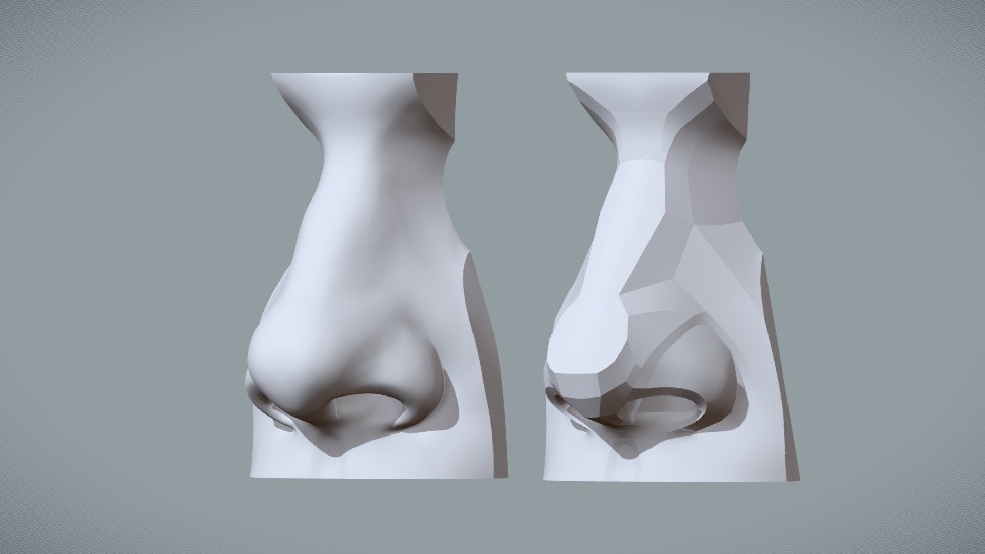 Shapes & Planes of the Nose